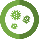 Bathroom Mold Removal Pros