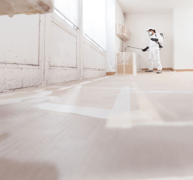 Attic Mold Removal in Frisco, TX
