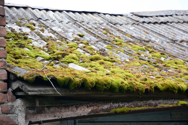 Garage Asbestos Removal in Freehold, NJ