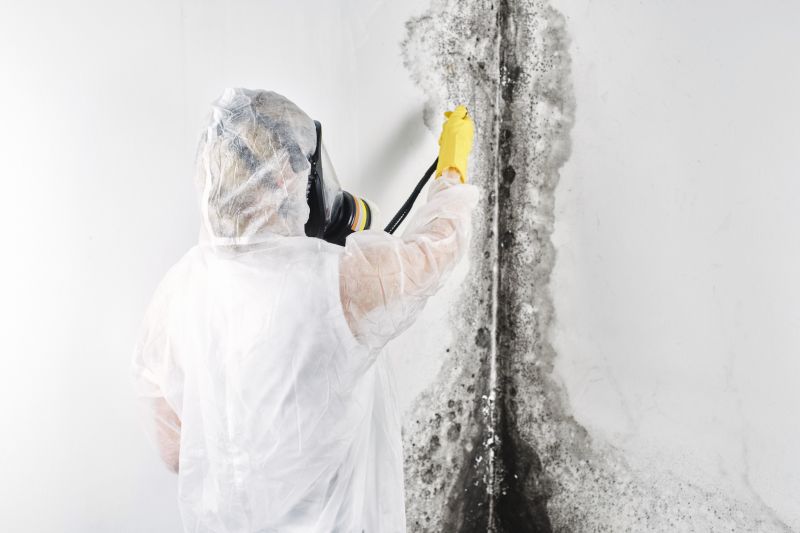 Garage Mold Remediation in Fort Worth, TX