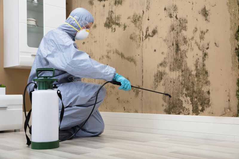 Bathroom Mold Removal