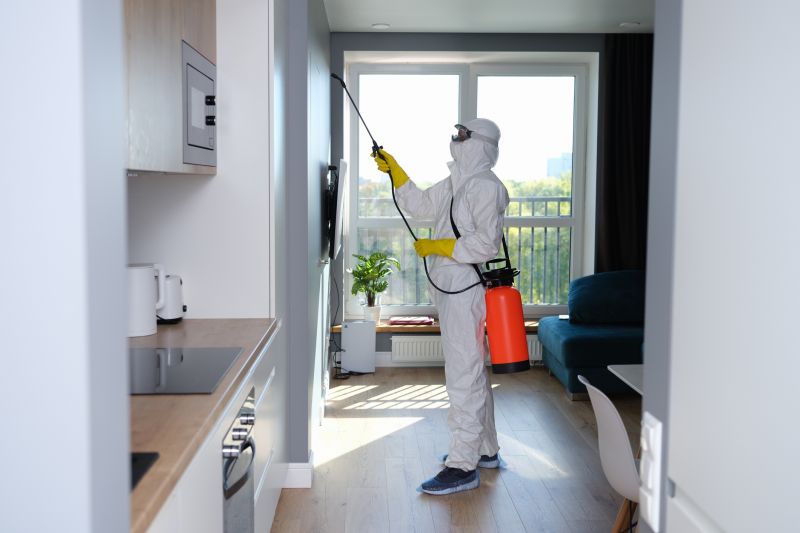 Basement Mold Removal in Fort Worth, TX