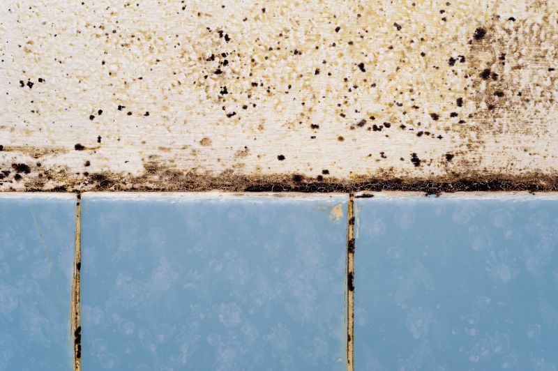 Sealed and Treated Bathroom Surfaces