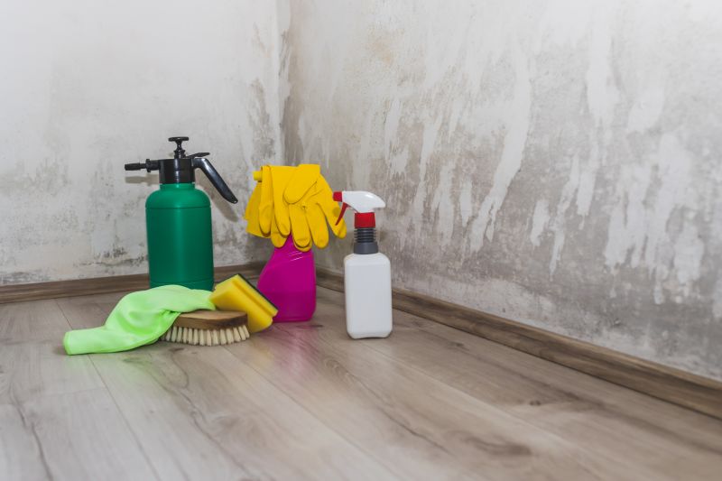 Effective Mold Removal Tools
