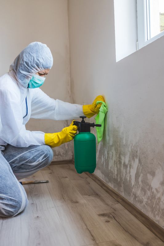 Professional Mold Removal Equipment