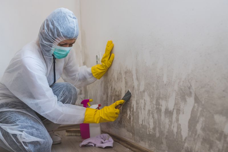 Crawl Space Mold Removal in Frisco, TX