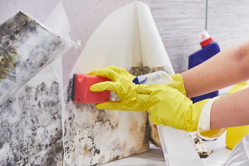 Crawlspace Mold Remediation in Bergen County, NJ