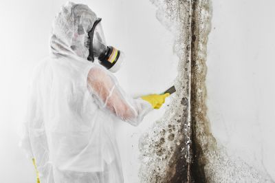 Mold Cleanup Service in Jupiter, FL