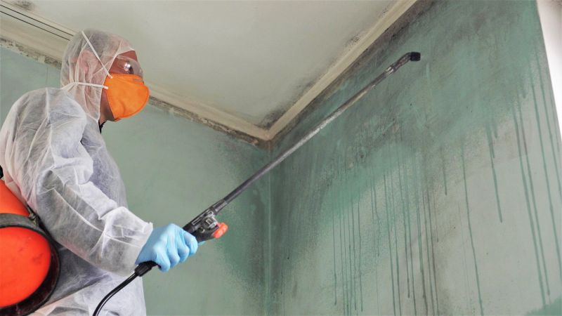 Mold Removal in West Palm Beach, FL