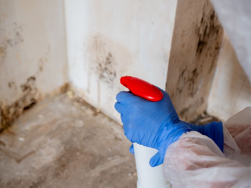 Mold Restoration in Jupiter, FL